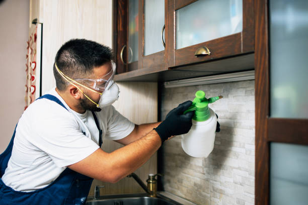 Best Best Pest Control Companies  in Fort Denaud, FL
