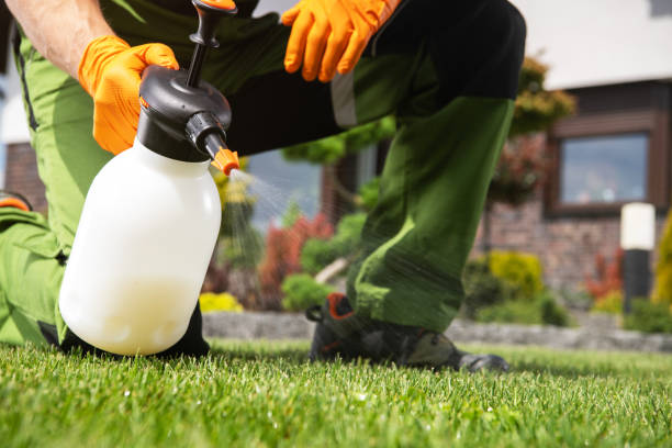 Best Mosquito Control Services  in Fort Denaud, FL