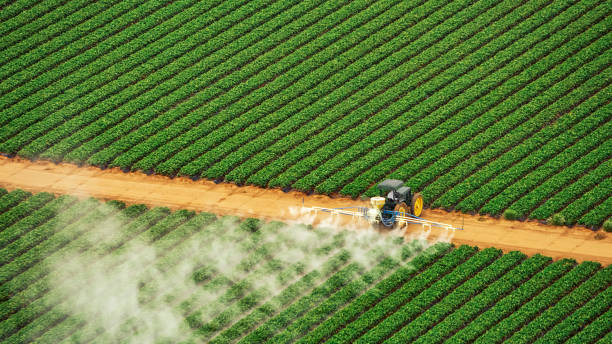 Best Pest Control Treatment  in Fort Denaud, FL